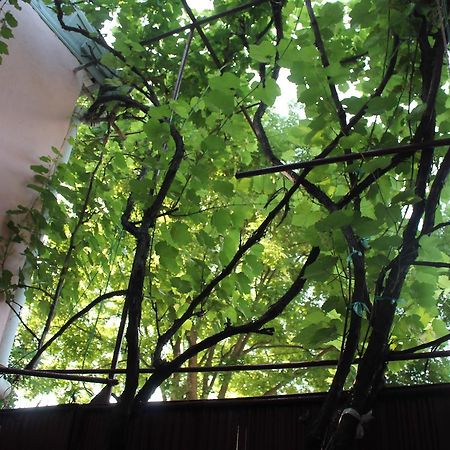 Hostel Old City Sololaki Tiflis Exterior foto