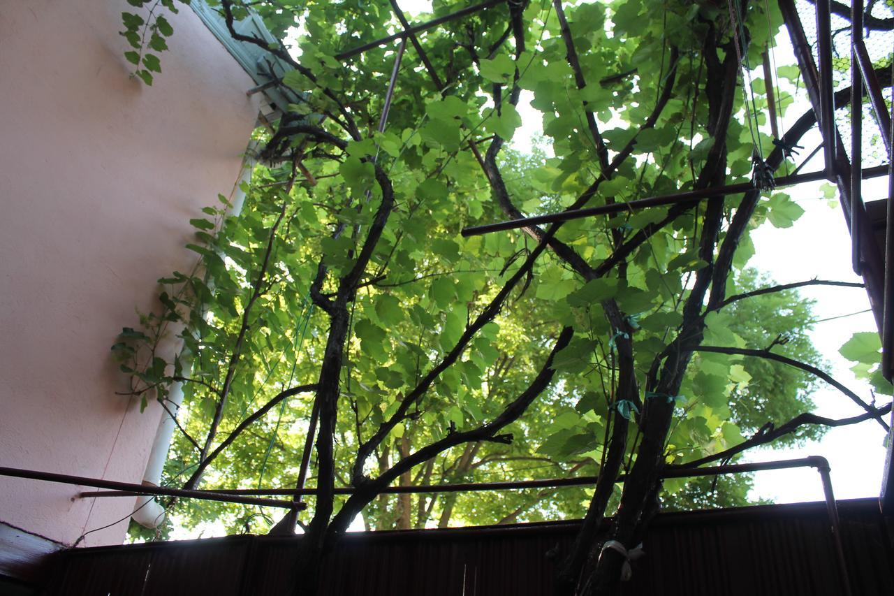 Hostel Old City Sololaki Tiflis Exterior foto